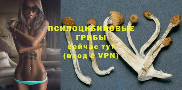 соль курить ск Бородино