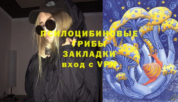 винт Бронницы