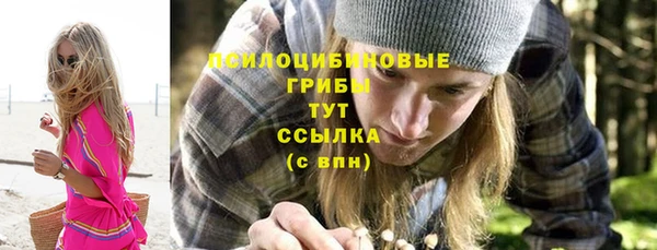 соль курить ск Бородино